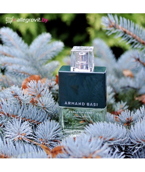A.BASI L'EAU POUR HOMME INTENSE VETIVER  туалетная  вода 75 мл для мужчин
