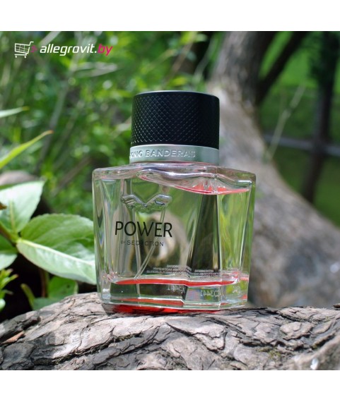 A. BANDERAS POWER OF SEDUCTION туалетная вода 100 мл для мужчин