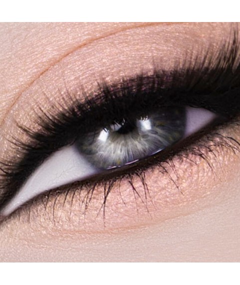 BERNOVICH Тени для век Bernovich CREATIVE 1,5 g. № C 146 (т.207)