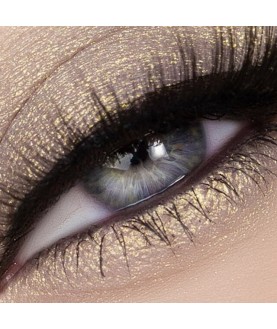 BERNOVICH Тени для век Bernovich CREATIVE 1,5 g. № C 147 (т.208)