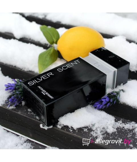 BOGART SILVER SCENT туалетная вода 100 мл для мужчин