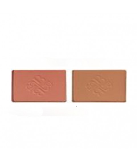 BOGENIA BG650 Румяна двойные `BlushDuo` тон 003 18 гр.