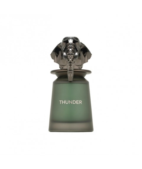 Fragrance World French Avenue Thunder Extrait парфюмированная вода для мужчин женщин 100 мл