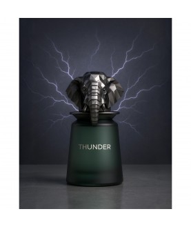 Fragrance World Thunder French Avenue парфюмированная вода для мужчин женщин 100 мл