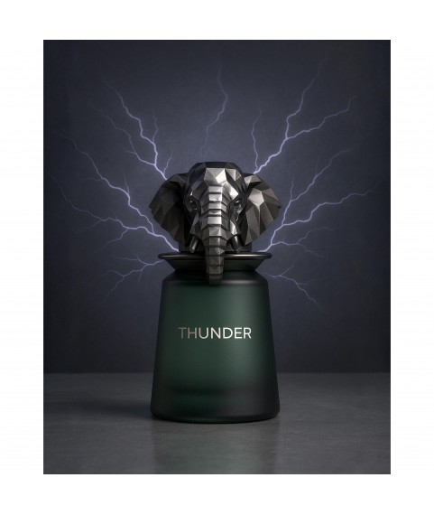 Fragrance World Thunder French Avenue парфюмированная вода для мужчин женщин 100 мл