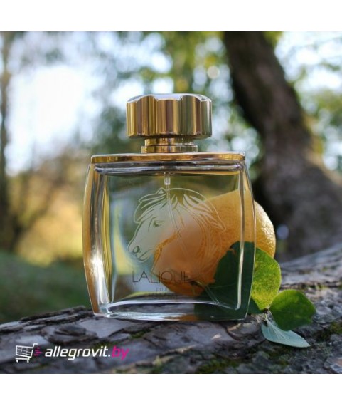 LALIQUE Equus (лошадь) парфюмированная вода 75 для мужчин