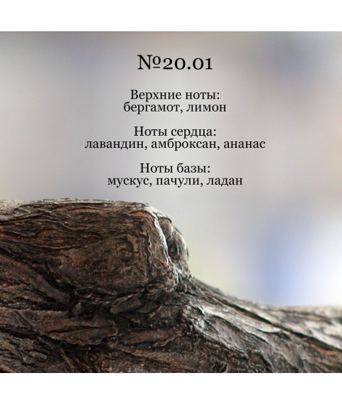 REFLEXION BLACK № 20.01 парфюмированная вода для мужчин 100 мл