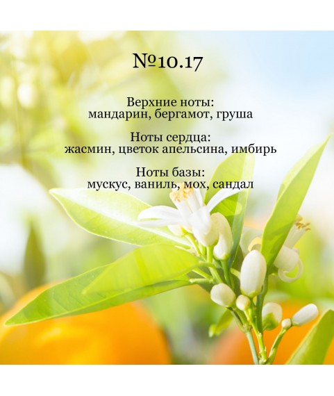 REFLEXION BLACK № 50.17 парфюмированная вода для женщин 50 мл