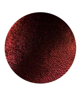 Tammy Tanuka Рассыпчатые тени для век `Sigil Inspired` Стражница Заката