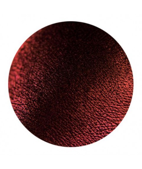 Tammy Tanuka Рассыпчатые тени для век `Sigil Inspired` Стражница Заката