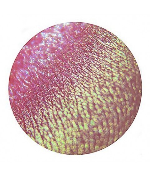 Tammy Tanuka Рассыпчатые тени для век `Sigil Inspired` Шалопайка из Зарослей Мальвы