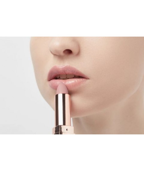 Topface PT155  Помада матовая устойчивая для губ Instyle Matte Lipstick (4 гр) тон 06