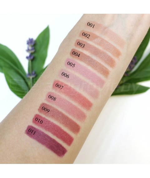 Topface PT155  Помада матовая устойчивая для губ Instyle Matte Lipstick (4 гр) тон 06