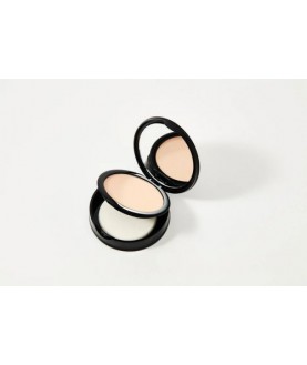 Topface PT261 Пудра шелковая для лица Instyle Wet & Dry Powder (10г) тон 01, фарфоровый