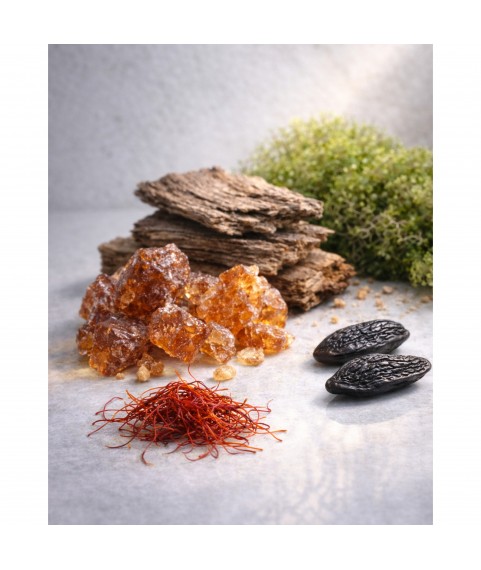 Zimaya Siada Nova парфюмированная вода 100 мл для мужчин и женщин